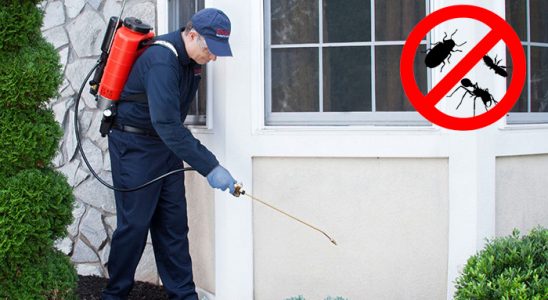 Bahçelerarası Gümüşkurt İlaçlama böcek ilaçlama ve haşere kontrolü — ilaclama-tr.com
